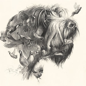 Wirehaired Pointing Griffon Art Print: Signed Dog Portrait