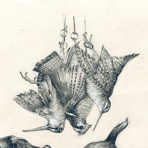 May include: A black and white pencil drawing of two birds hanging by their feet from a chain. The birds are facing each other and their wings are spread out.