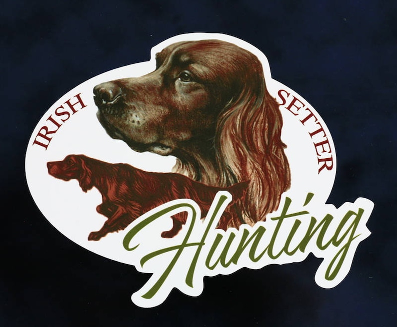 Hunting Dog Decal irish Setter Decal Dog Decal | Etsy