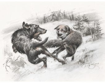 Stampa giclée di una scena di caccia alla volpe con Jagdterrier, edizione limitata ad acquerello (1 di 100)