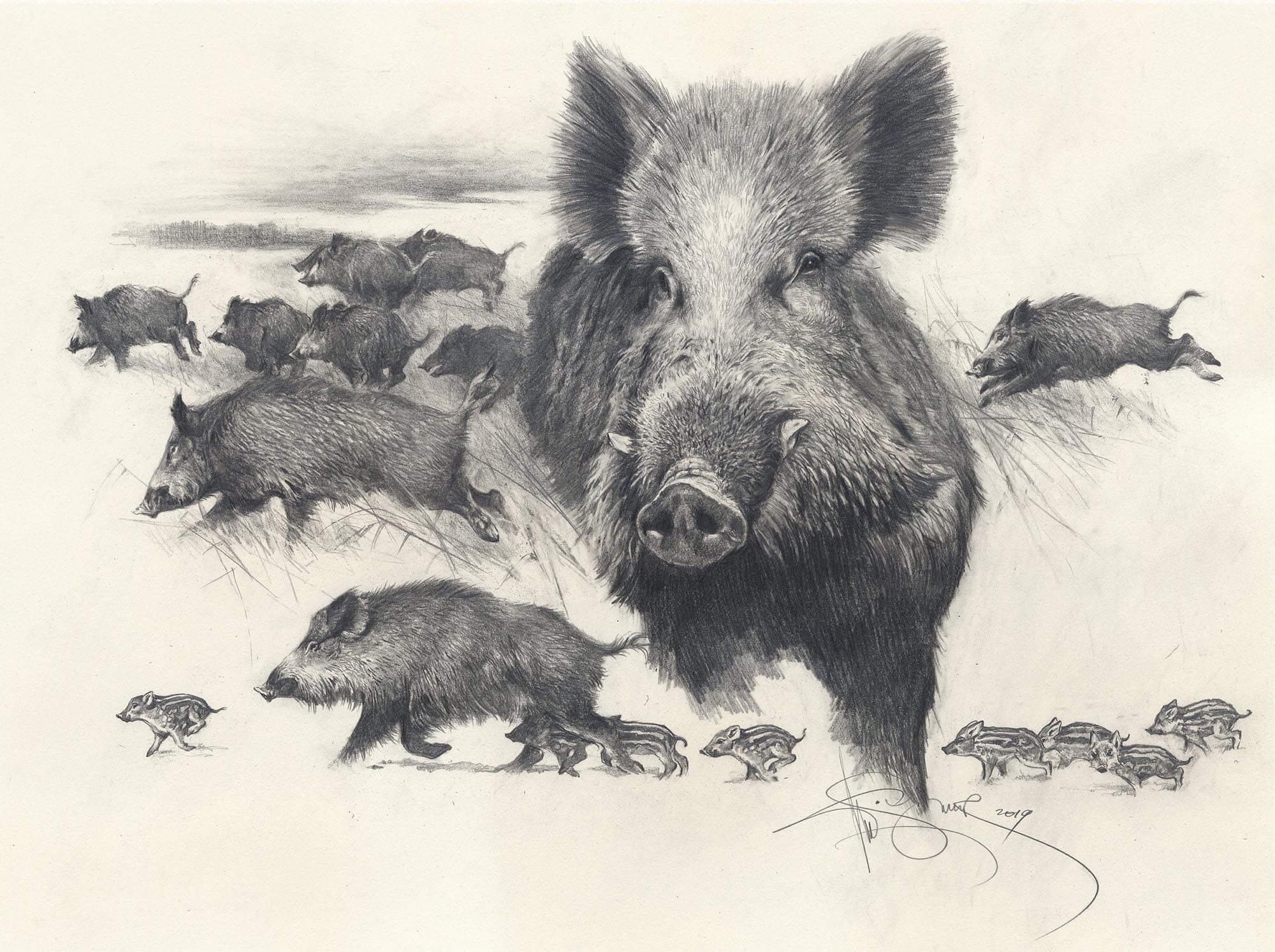 Wild Boars Hunt Graphic Drawing Signed Authors Print Etsy