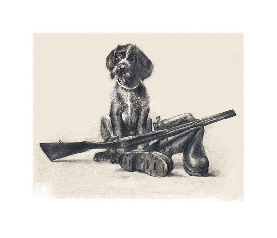 Hunting Soon Puppy Deutsch Drahthaar German Wirehaired Etsy