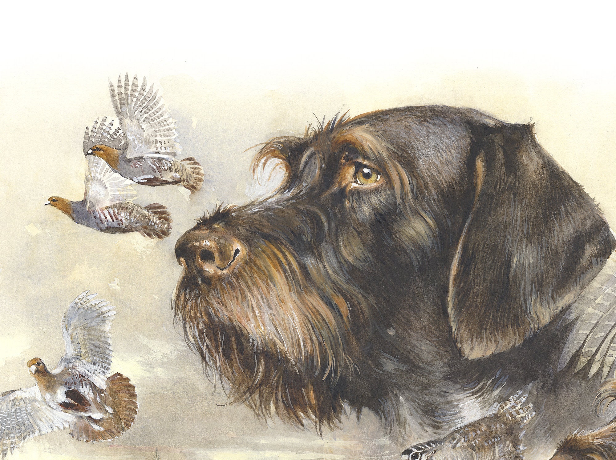 German Wirehaired Pointer Print breath of Autumn - Etsy