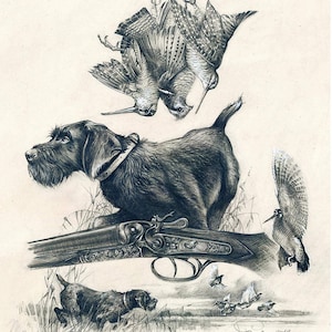 May include: A black and white drawing of a hunting scene featuring a dog, a shotgun, and several birds. The dog is standing on the shotgun, and the birds are suspended from a chain.