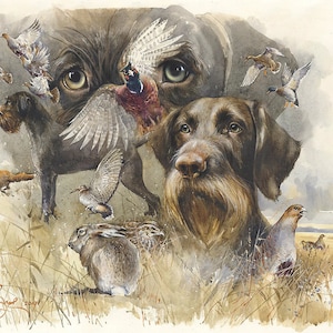 Op de afbeelding: Een aquarel van een bruine en zwarte hond met een lange, borstelige baard. De hond wordt omringd door verschillende vogels, waaronder een fazant, een korhoen en een eend. De ogen van de hond zijn open en gericht, alsof hij jaagt. Het schilderij is gesitueerd in een veld met hoog gras.
