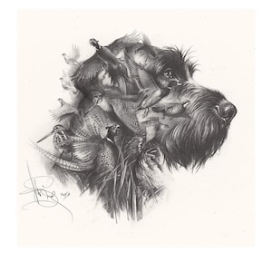 German Wirehaired Pointer Print: Drahthaar Dog Art