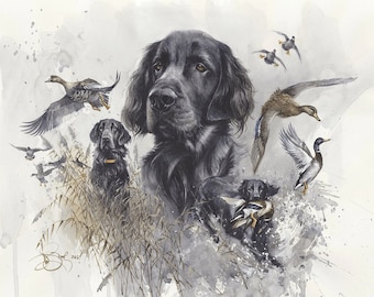Fotografía de Valery Siurha con un perro Flat Coated Retriever titulado "Caza de aves acuáticas".