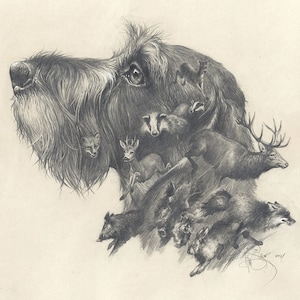 Bassotto a pelo duro. Oh, i miei sogni...", stampa bassotto, arte bassotto, regalo bassotto, regali bassotto, stampa artistica bassotto, stampa cane