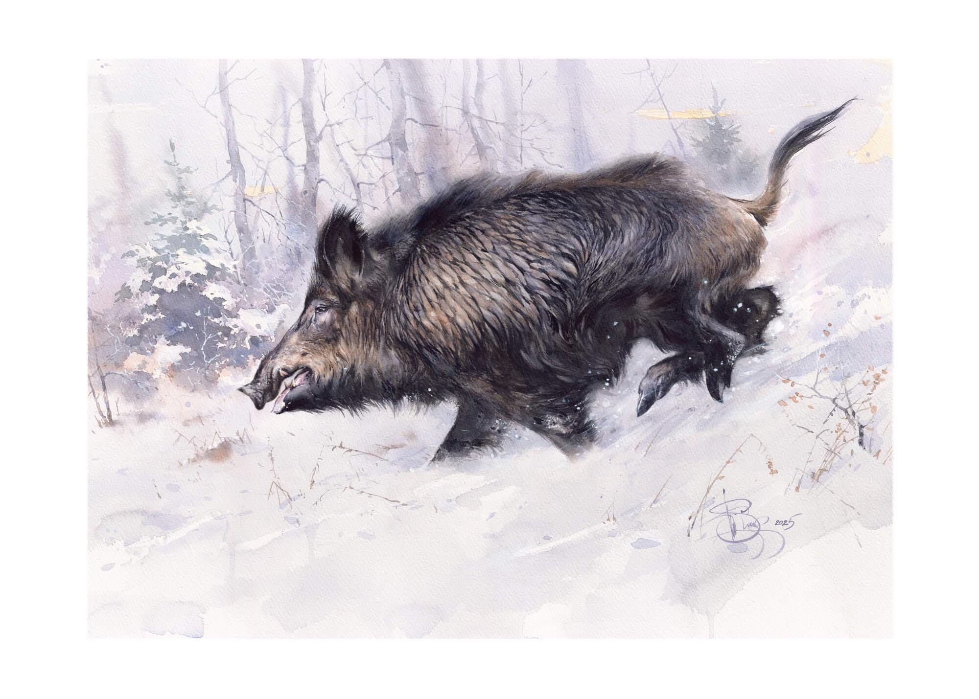 Signed Wild Boar Giclée Print: Running Boar Watercolor Art