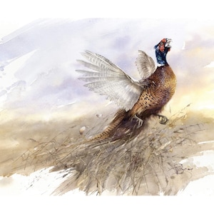 Pheasant Giclée Print: Hand-Painted Watercolor, Limited Edition