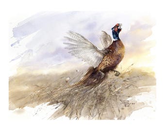 Fasan Giclée Druck: Handgemaltes Aquarell, Limitierte Auflage