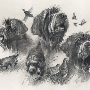 Wirehaired Pointing Griffon Print: Bird Hunting Dog Art, Home Decor