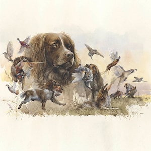 Saint Usuge Spaniel Print: Signed Hunting Dog Art