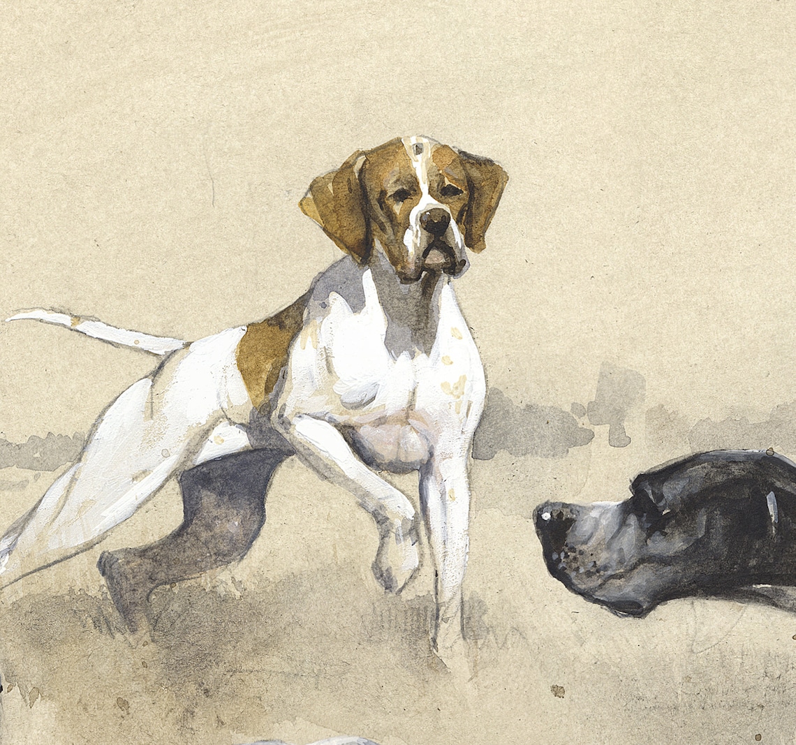 English Pointers Authors Signed Print English Pointer | Etsy