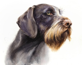 Stampa del Pointer tedesco a pelo duro: ritratto di cane ad acquerello firmato.