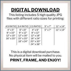 May include: A table showing different print sizes for digital downloads of JPG files. The sizes are listed in inches for 4:5, 3:4, and 2:3 ratios, as well as 5" x 7" and 11" x 14" sizes. The text "DIGITAL DOWNLOAD" is at the top of the table.