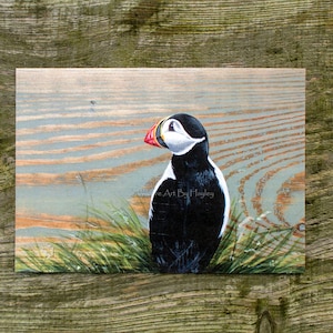 Atlantic puffin print, A5 size.