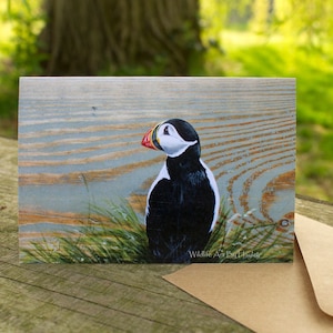 Papageientaucher Grußkarte, A6 Kunstkarte.