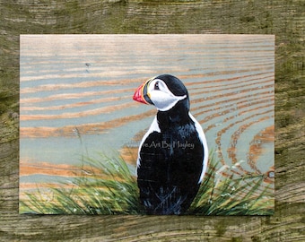 Atlantic puffin print, A5 size.