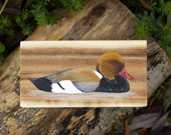 red crested pochard duck painting on recycled wood
