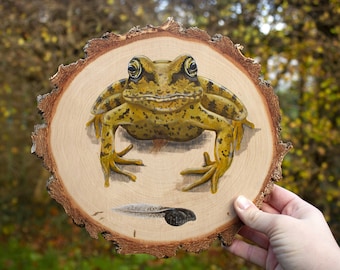 Frog and tadpole painting, British wildlife art on recycled wood, wood slice art