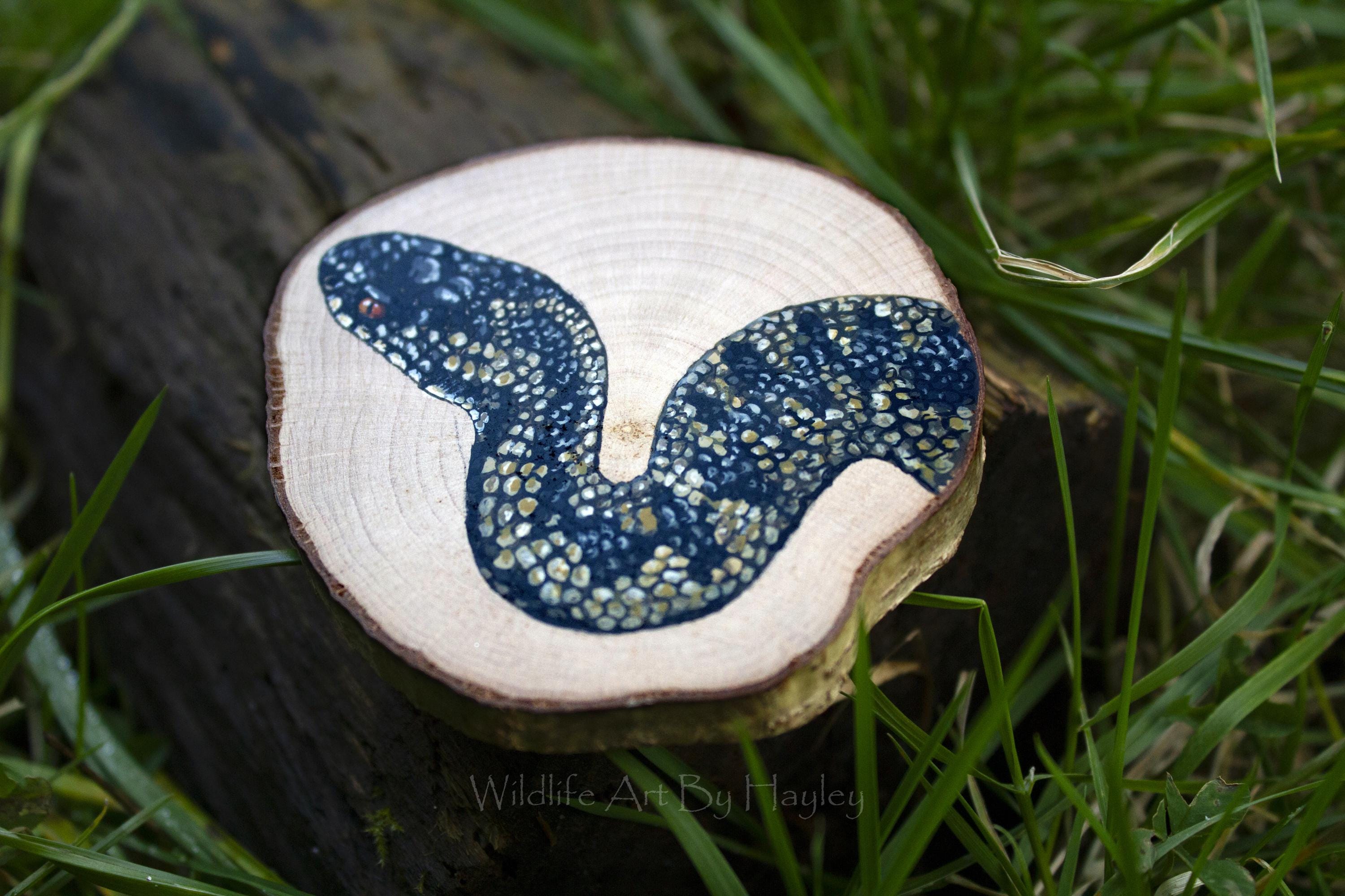 European Adder Painting, Original Art on Wood, Viper Art - Etsy