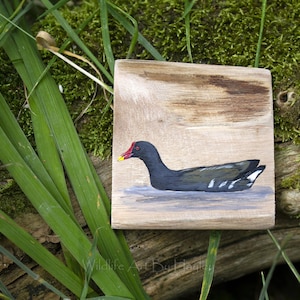 Pittura di gallinella d’acqua su legno riciclato, miniatura di uccelli acquatici