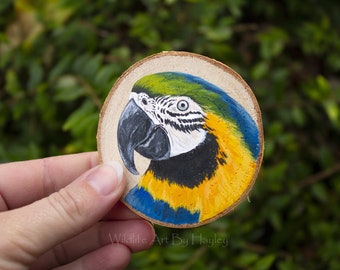 Blue and yellow macaw, wood slice painting