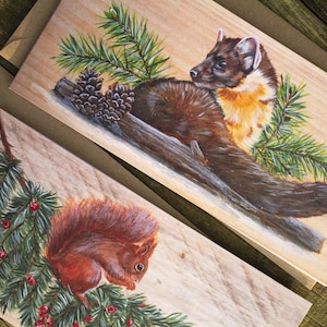 Carte de voeux sur la faune des bois, lot de deux, martre des pins et écureuil roux