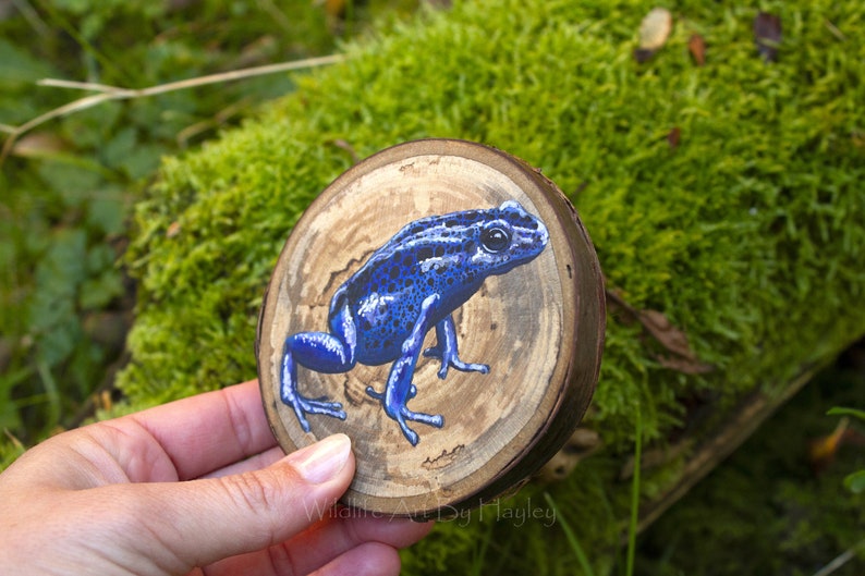 Poison dart frog painting on a recycled wood slice image 9