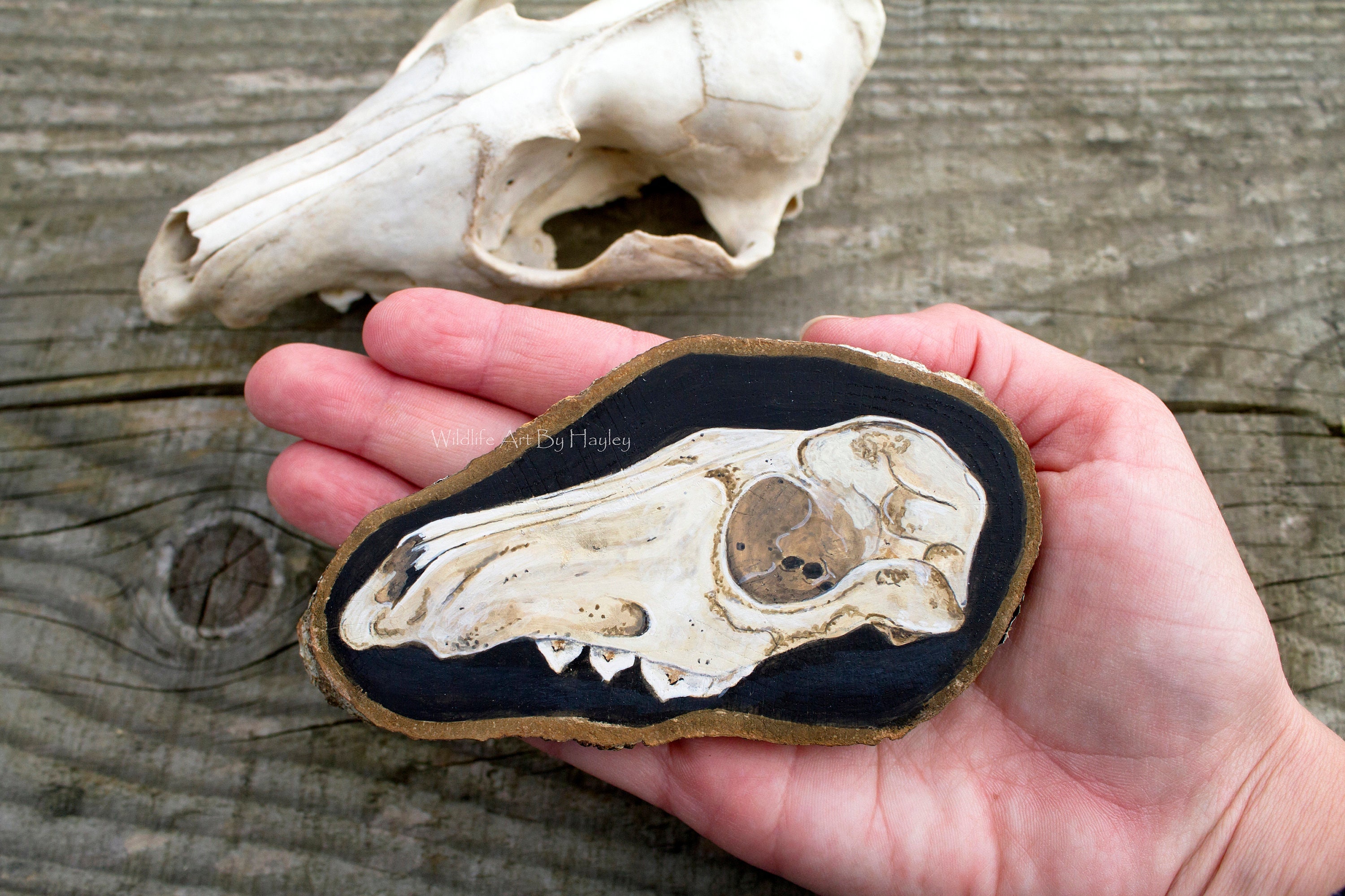 Animal Skull Painting Fox Skull Art - Etsy Australia Animal Skull Painting Fox Skull Art - Etsy Australia