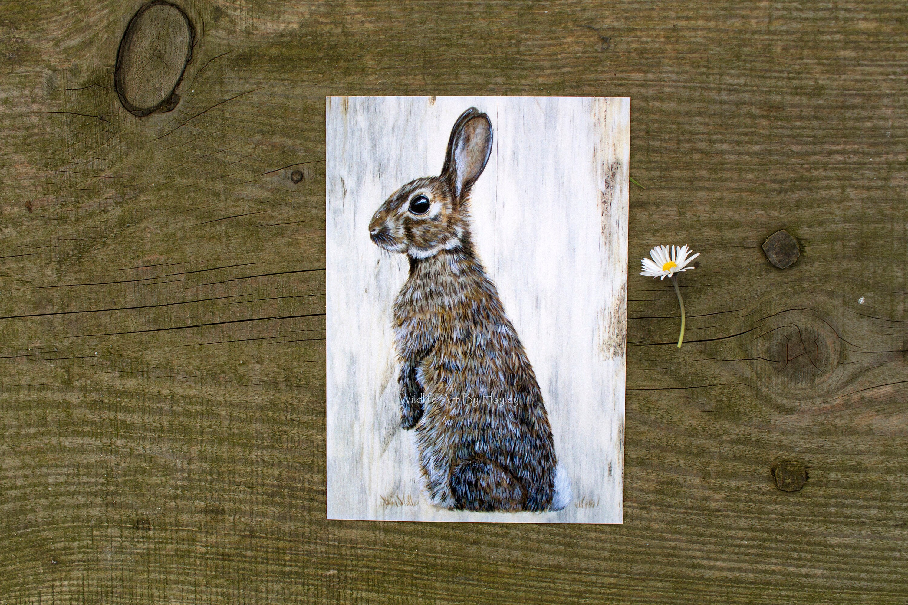 A5 Rabbit Rabbit Print, A5 Art Print. - Etsy