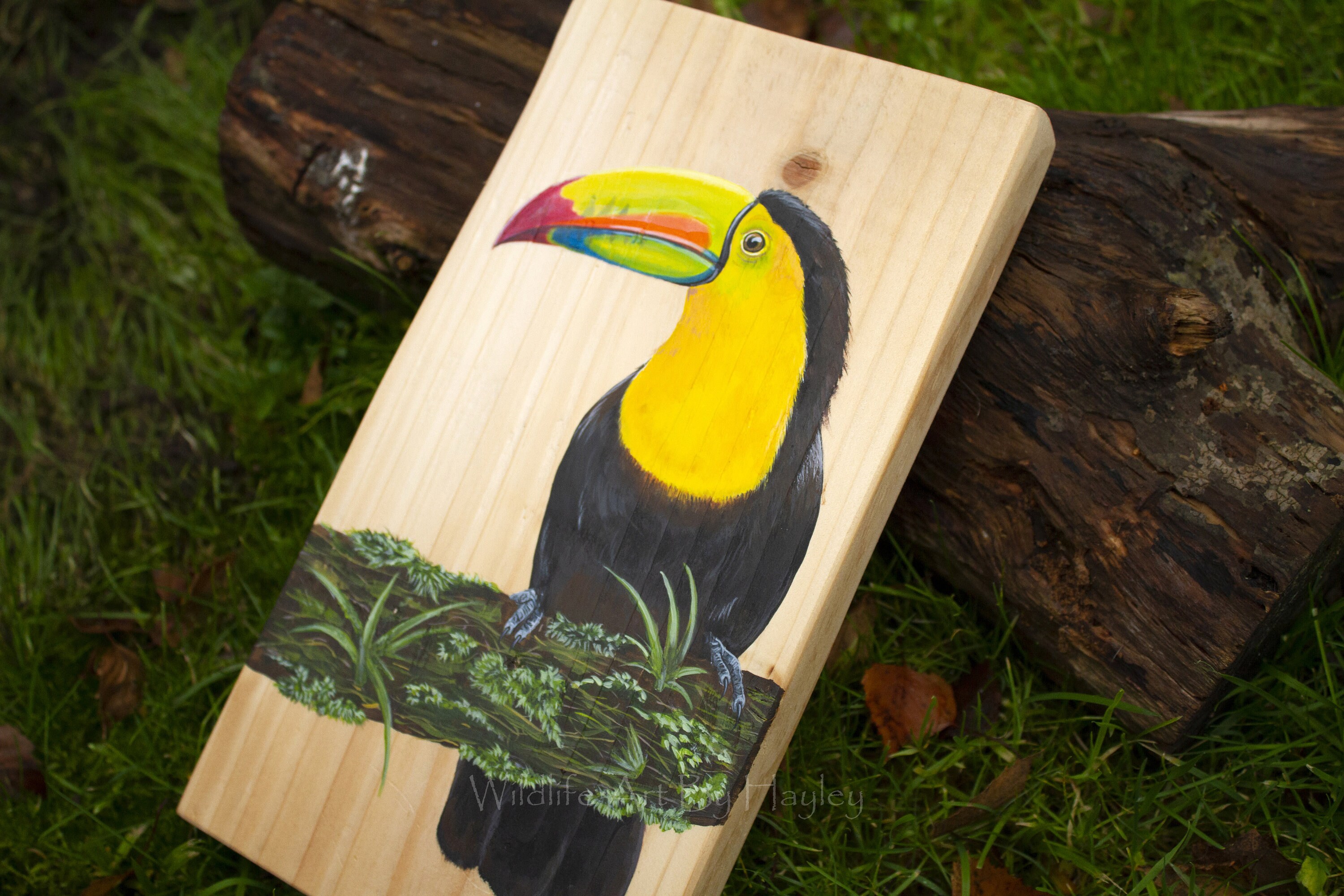 Keel-billed toucan painting on recycled wood