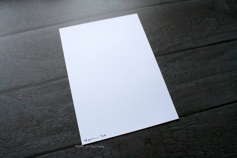 May include: A white card with the text "Wildlife Art By Hayley" and a handwritten signature with the date "4-14-20".