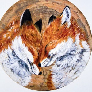 May include: A painting of two red foxes with white fur on their chests and faces, curled up together on a wooden surface. The foxes have their eyes closed and appear to be sleeping.