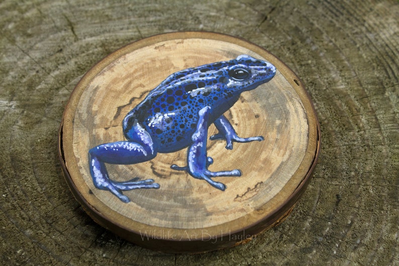 Poison dart frog painting on a recycled wood slice image 4