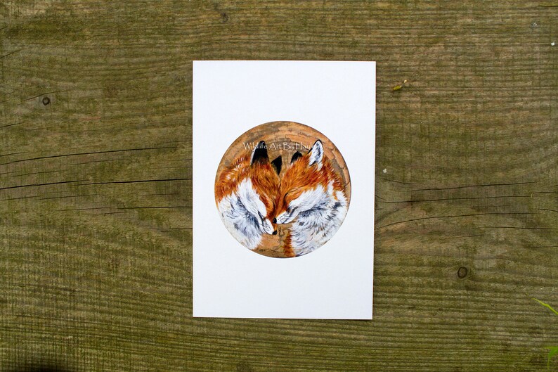 May include: A painting of two red foxes curled up together, sleeping. The foxes are painted in a realistic style, with detailed fur and facial features. The painting is set against a brown background.