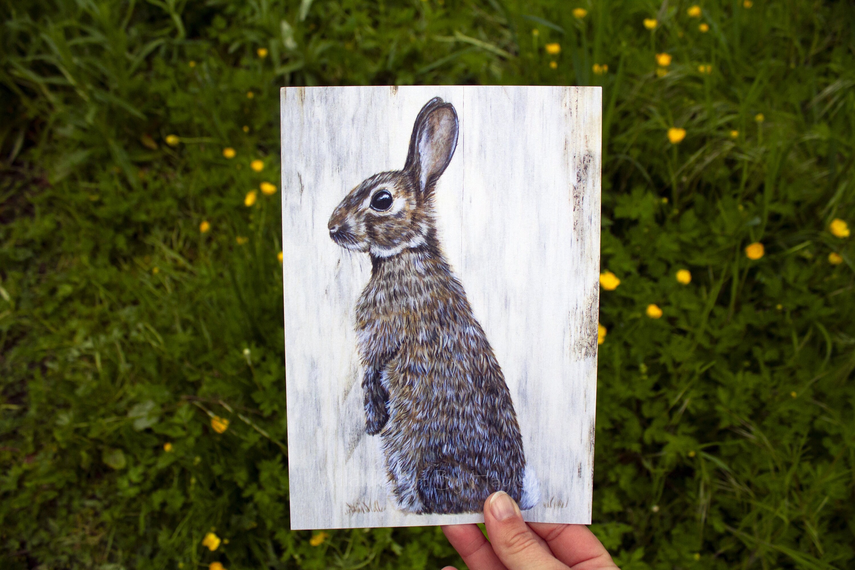 A5 Rabbit Rabbit Print, A5 Art Print. - Etsy