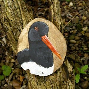 Oystercatcher bird painting on reclaimed oak wood slices