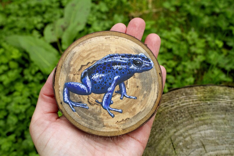Poison dart frog painting on a recycled wood slice image 6