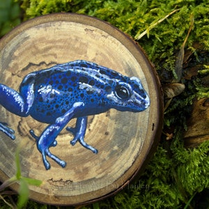 Poison dart frog painting on a recycled wood slice image 3