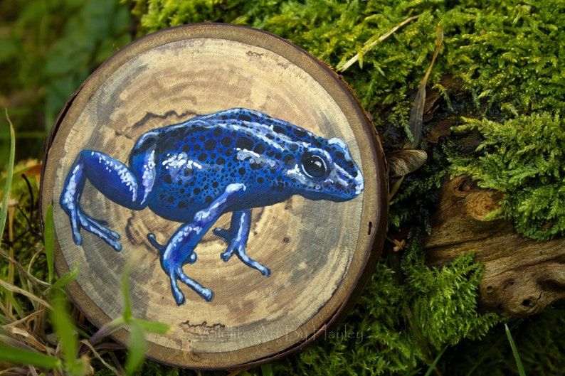 Poison dart frog painting on a recycled wood slice image 3