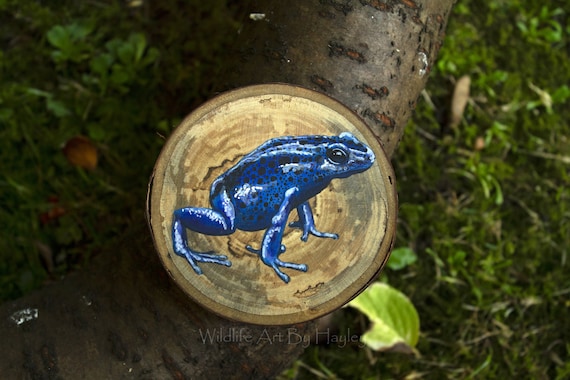 Poison dart frog painting on a recycled wood slice