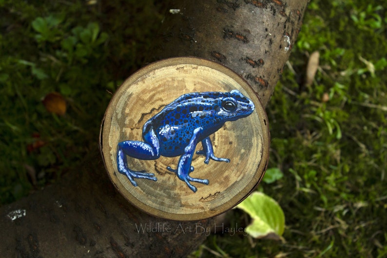 Poison dart frog painting on a recycled wood slice image 1