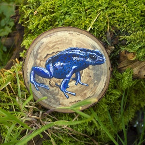 Poison dart frog painting on a recycled wood slice image 7