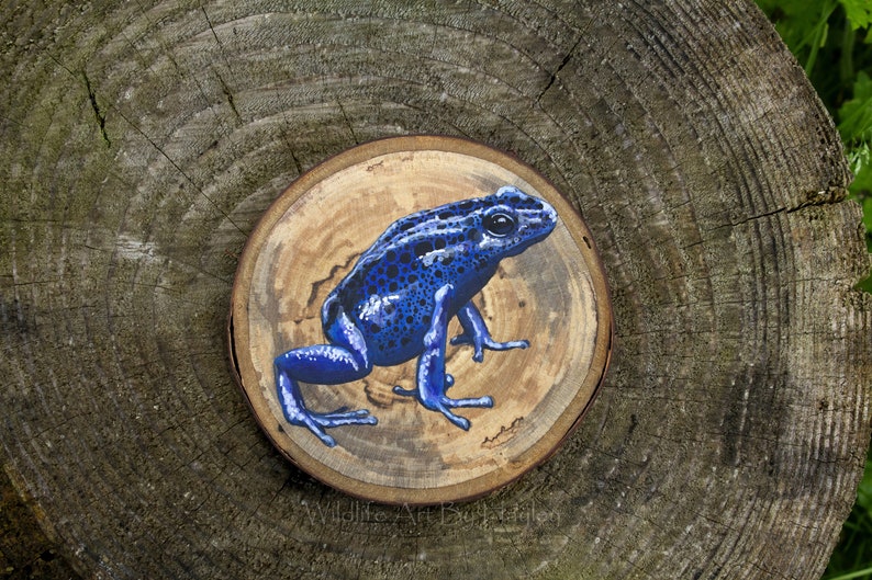 Poison dart frog painting on a recycled wood slice image 2