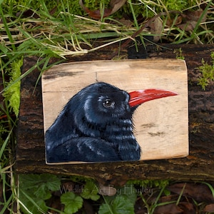 Chough painting on recycled wood, corvid family bird art