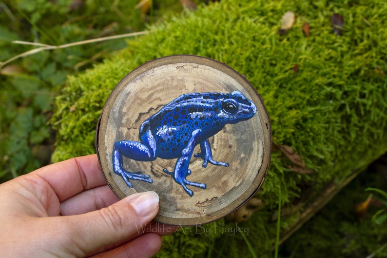 Poison dart frog painting on a recycled wood slice image 8