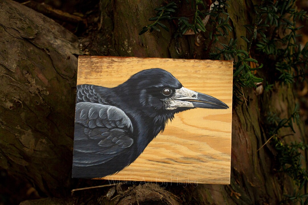 Rook, Original Bird Art, Painted on Recycled Wood - Etsy