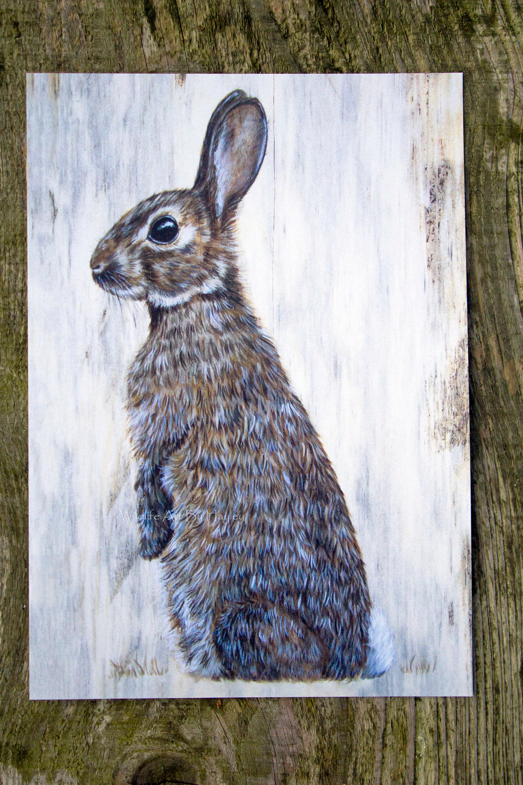 A5 Rabbit Rabbit Print, A5 Art Print. - Etsy